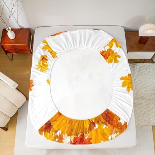 Cute Pumpkin Cat Bed Sheets Queen Kawaii Watercolor Cat Sheet Set For Kids Boys Girls Autumn Fall Maple Leaf Bedding Thanksgiving Harvest Seasonal Fitted Sheet Orange White Flat Sheet 2 Pillow Cases - Image 5