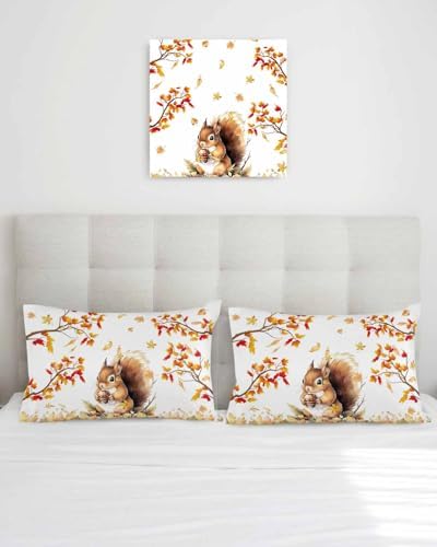 Fall Cute Squirrel Pillow Covers 12x20 Inch Set of 2, Thanksgiving Decorations Indoor Outdoor Throw Pillow Covers, Autumn Animals Cotton Linen Pillowcases for Patio Sofa Couch Bedroom Decorative - Image 3