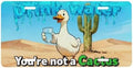 Duck Cactus Drink Water Front License Plate 6" * 12" for Women
