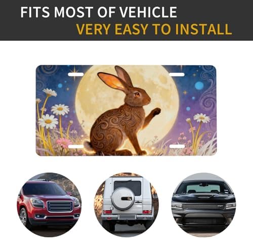 Moon Bunny Front License Plate Car Decorative License Plates
