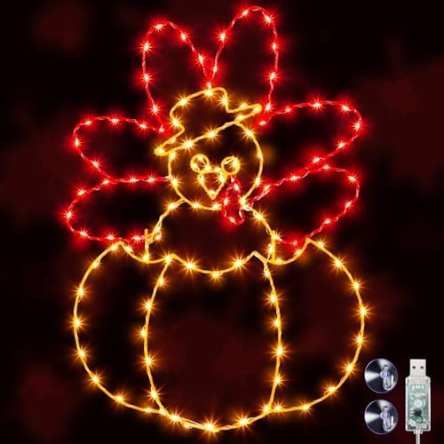 Hiboom Thanksgiving Turkey Pumpkin String Lights, Orange Red, 23'' by HiboomDecoratingAsseccories
