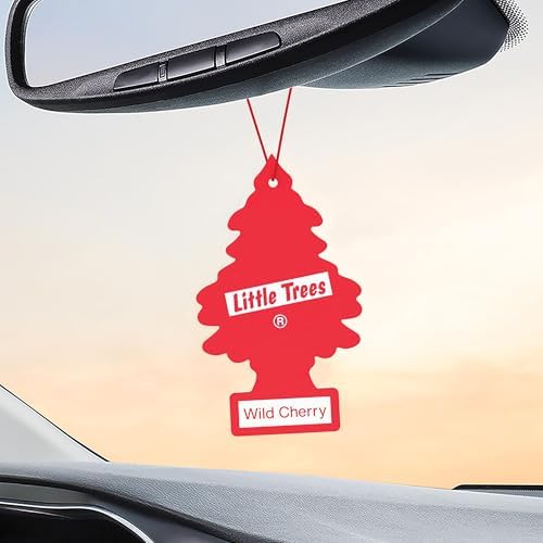 LITTLE TREES Car Air Freshener, 4 Count (Pack of 6), Wild Cherry