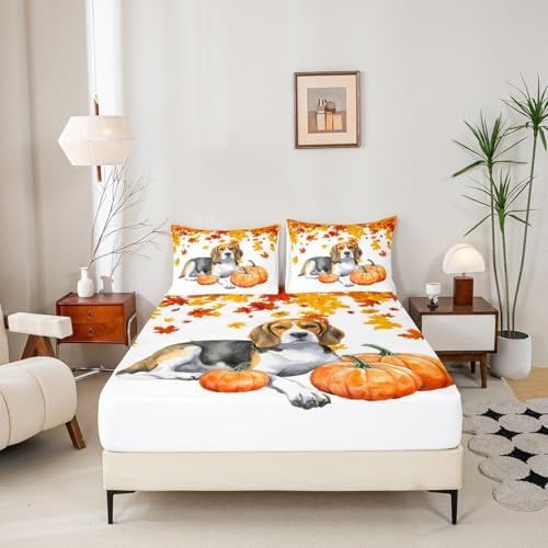 Fall Pumpkin Sheet Set Retro Watercolor Sausage Dog Fitted Sheet Full Thanksgiving Harvest Seasonal Bed Sheets for Kids Boys Girls,Happy Fall Maple Leaf Bedding Soft Flat Sheeet Orange 4 Pcs - Image 4