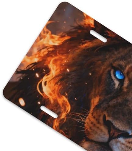 Fire Ice Lion Cool Front License Plate 6x12 Inch