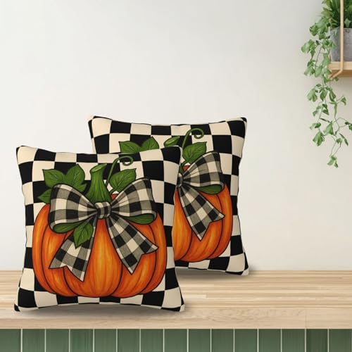 KiuLoam Fall Pillow Covers 18x18 Inch Set of 2 Thanksgiving Harvest Orange Pumpkin Black Buffalo Plaid Print Decorative Throw Pillow Cases Vintage Rustic Farmhouse Style Cushion Covers for Sofa Couch - Image 5