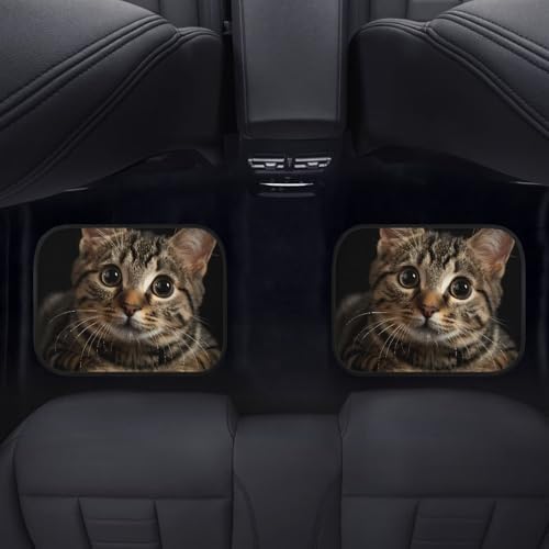 GLENLCWE Cute Cat Car Floor Mat Set 4 Piece, Car Floor Mats Rubber Rear & Front Seat Pads, Non-Slip Auto Carpet Mat Automotive Decoration