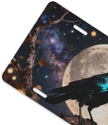 Raven Moon Crow Starry Sky Cool Front License Plate 6x12 Inch