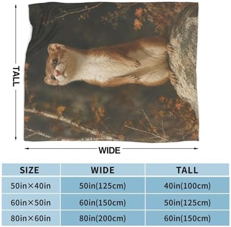 Cute Ferret Blanket for Women, Gifts for Girls, Animal Blankets for Kids, Soft Cozy Lightweight Throw for Bed Sofa Home Travel Room Decor, 40x50 Inch - Image 4