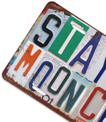 Front License Plate 6" * 12" for Women Stay Wild Moon Child