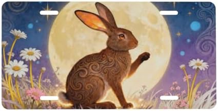 Moon Bunny Front License Plate Car Decorative License Plates