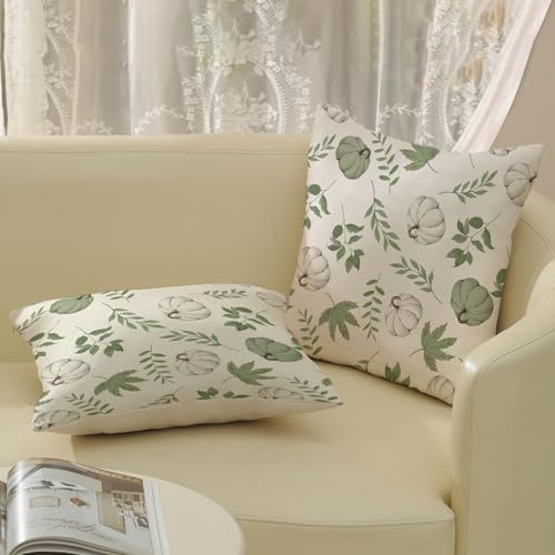 Fall Pillow Covers 18x18 Set of 2 Sage Green Pumpkin Maple Leaf Fall Decor Pillowcase Autumn Thanksgiving Decorations Outdoor Throw Pillow Covers Linen Farmhouse Cushion Case for Couch Home - Image 4