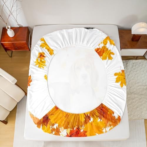 Fall Pumpkin Sheet Set Retro Watercolor Sausage Dog Fitted Sheet Full Thanksgiving Harvest Seasonal Bed Sheets for Kids Boys Girls,Happy Fall Maple Leaf Bedding Soft Flat Sheeet Orange 4 Pcs - Image 5