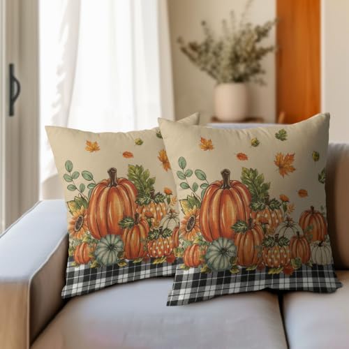 Fall Pumpkins Throw Pillow Covers 18x18 Set of 2 Autumn Polka Dot Pumpkin Thanksgiving Pillow Covers Buffalo Plaid Maple Leaves Pillowcase Vintage for Kitchen Sofa Cushion Outdoor Bedroom Decoration - Image 4