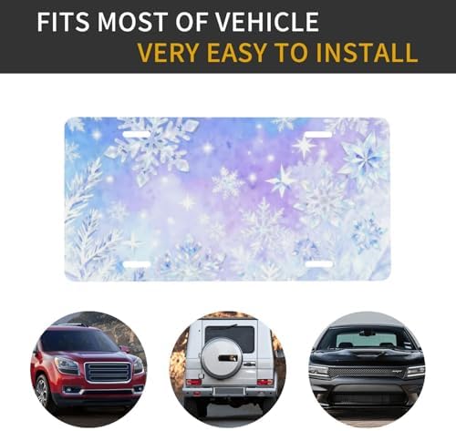 Snowflakes Ice Front License Plate Car Decorative License Plates