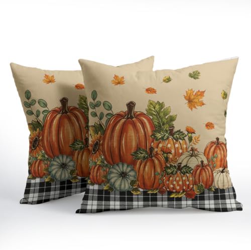 Fall Pumpkins Throw Pillow Covers 22x22 Set of 2 Autumn Polka Dot Pumpkin Thanksgiving Pillow Covers Buffalo Plaid Maple Leaves Pillowcase Vintage for Kitchen Sofa Cushion Outdoor Bedroom Decoration - Image 3