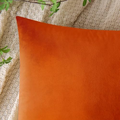 VAKADO 12x20 Set of 2 Fall Burnt Orange Throw Pillow Covers Decorative Velvet Lumbar Rectangle Decoration Cushion Covers Home Bedroom Decor for Living Room Couch Sofa Car - Image 3
