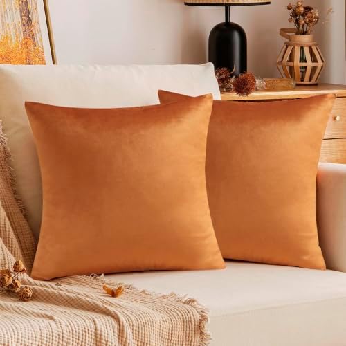 VAKADO Pumpkin Fall Throw Pillow Covers Velvet 16x16 Set of 2 - Image 4