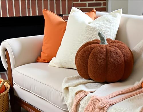 Fall Theme Plush Pillow for Sofa Living Room Decor Chic Throw for Bed Bedroom Home Car Decor,Blush Pink,11.02" - Image 4