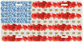 Poppy American Flag Front License Plate 6" * 12" for Women