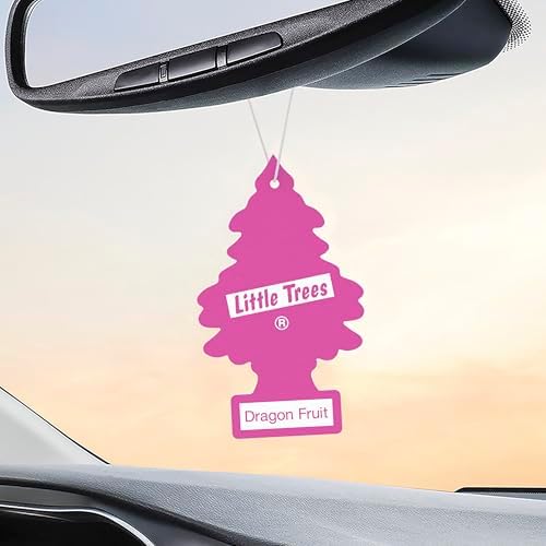 LITTLE TREES Car Air Freshener, 4 Count (Pack of 6), Dragon Fruit