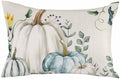 Pillow Covers 20x36 Inch - King Thanksgiving Fall/Autumn Harvest of White Pumpkins and Leaves Soft Brushed Microfiber Pillowcases with Hidden Zipper Closure Bed Pillow Shams for Bedroom Sofa Car by T%26H+XHome