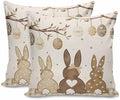 Easter Eggs Spring Bunny Tail Pillow Covers 18x18 inch Set of 2, Khaki Buffalo Plaid Decorations Outdoor Throw Pillow Covers, Cotton Linen Square Pillowcases for Sofa Couch Bedroom Patio Decorative by JasmineM