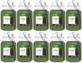 Yankee Candle Paper Car Jar Air Freshener, Hanging Car Freshener, Long Lasting Car Fragrance, Balsam & Cedar (Pack of 10)