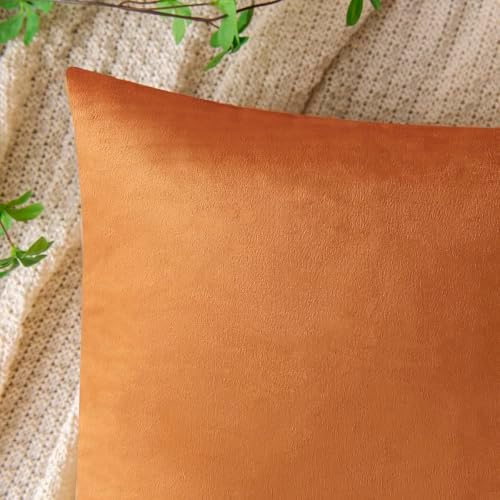VAKADO Pumpkin Fall Throw Pillow Covers Velvet 18x18 Set of 2 - Image 2