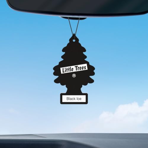 LITTLE TREES Car Air Freshener, 4 Count (Pack of 6), Black Ice