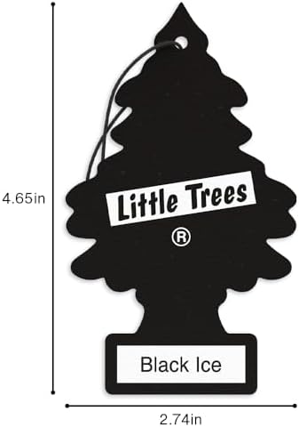 LITTLE TREES Car Air Freshener, 4 Count (Pack of 6), Black Ice