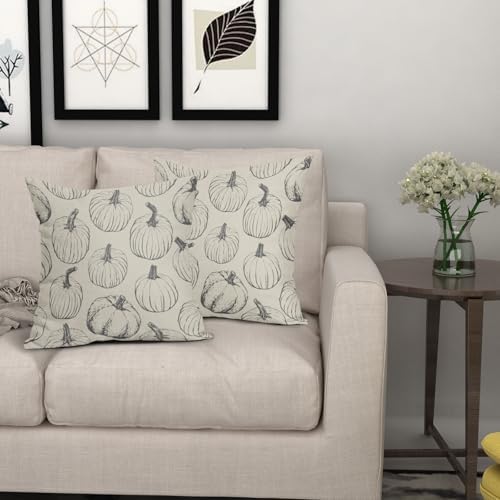 Grey Gray Pumpkin Fall Pillow Covers 20x20 Set of 2 Autumn Themed Thanksgiving Harvest Print Decorative Throw Pillows Outdoor Farmhouse Pillowcases Cushion Case Seasonal Decor for Couch Sofa Bed - Image 7
