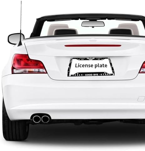 Skull Gothic License Plate Frame 2 Pack License Plate Holder Universal Aluminum License Plate Cover Car Accessories for Men Women