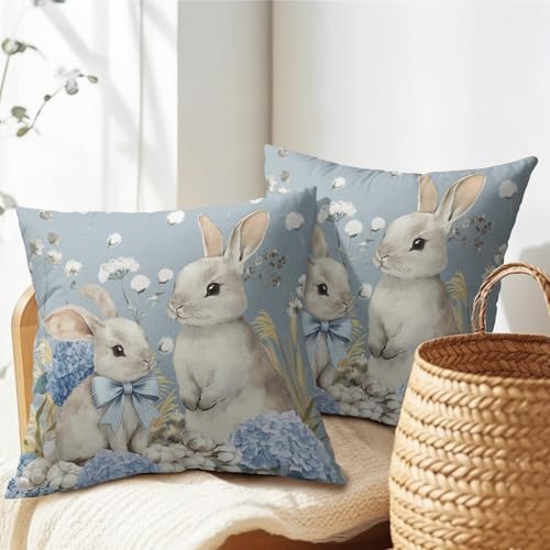 Easter Pillow Covers 20x20 Set of 2 Spring Throw Pillow Covers Rustic Cute Bunny Rabbit Pillowcase Linen Decoration Farmhouse Soft Decorative Blue Cushion Case Couch for Indoor Outdoor Home Decor - Image 7