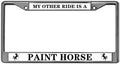 GND License Plate Frames,My Other Ride is A Paint Horse License Plate Frame Horse Lover Thin License Plate Frame Stainless Steel 2 Holes License