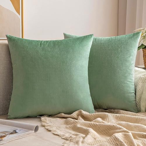 VAKADO Throw Pillow Covers Decorative 18x18 Set of 2 Sage Green Outdoor Decor Couch Cushion Covers Euro Pillowcases Home Bed Decoration for Sofa Bedroom Office - Image 4