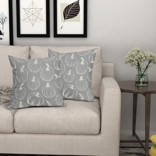 Grey Gray Fall Pumpkin Pillow Covers 24x24 Set of 2 Autumn Themed Thanksgiving Cream Print Decorative Throw Pillows Outdoor PillowCase Farmhouse Linen Cushion Case Decor for Home Sofa Couch Bed - Image 7