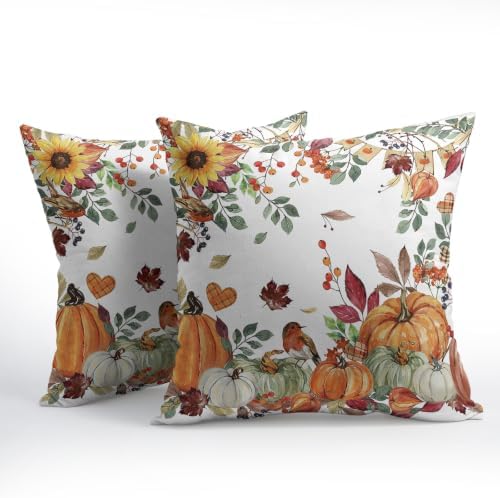 Fall Pumpkin Pillow Covers 24x24 Set of 2 Autumn Caramel Maple Leaves Bird Floral Outdoor Throw Pillows Covers Thanksgiving Harvest Decorative Farmhouse Cushion Case for Living Room Couch Sofa - Image 2
