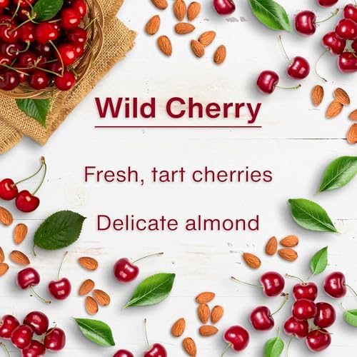 LITTLE TREES Car Air Freshener, 4 Count (Pack of 6), Wild Cherry
