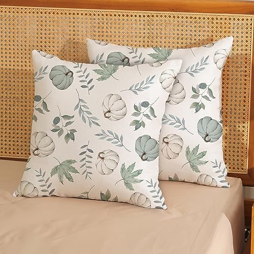 Fall Pillow Covers 16x16 Set of 2 Pumpkin and Maple Leaf Fall Decor Pillowcase Linen Autumn Thanksgiving Decorative Outdoor Throw Pillow Covers Warm Tones Farmhouse Cushion Case for Couch Home - Image 3