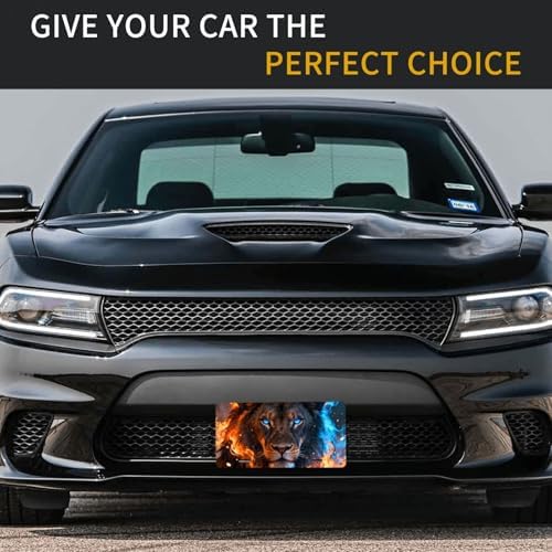Fire Ice Lion Cool Front License Plate 6x12 Inch