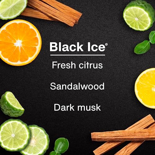 LITTLE TREES Car Air Freshener, 4 Count (Pack of 6), Black Ice