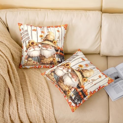 Autumn Gnome 2 Pack Pillow Covers,Thanksgiving Day Rustic Farmhouse Soft Square Cushion Case,Fall Harvest Orange Maple Leaves Sunflower Throw Pillow Coverss Double Sides,20"x 20" - Image 2