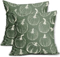Sage Green Fall Pumpkin Pillow Covers 20x20 Set of 2 Autumn Themed Thanksgiving Cream Print Decorative Throw Pillows Outdoor PillowCase Farmhouse Linen Cushion Case Decor for Home Sofa Couch Bed by Aytipun