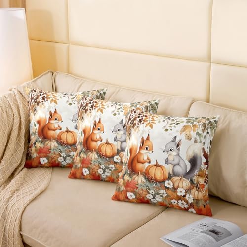 Squirrel Double Sides Print Pillow Covers,Rustic Autumn Maple Leaves Pumpkin Throw Pillow Case Covers,Fall Thanksgiving Day Natural Cute Animal Cushion Covers,2 Pack 24"x 24" - Image 4