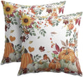 Fall Pumpkin Pillow Covers 16x16 Set of 2 Autumn Caramel Maple Leaves Bird Floral Outdoor Throw Pillows Covers Thanksgiving Harvest Decorative Farmhouse Cushion Case for Living Room Couch Sofa by Unknown