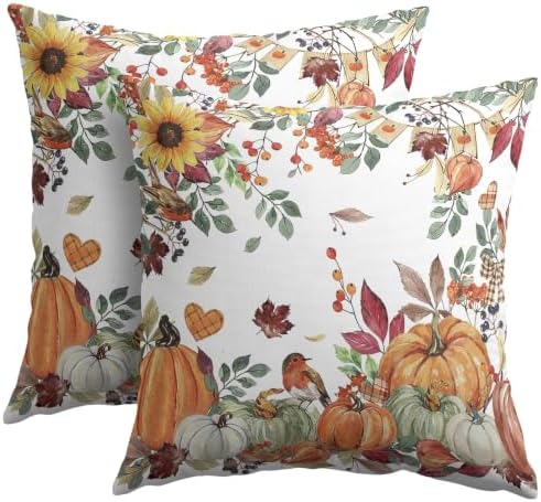 Fall Pumpkin Pillow Covers 24x24 Set of 2 Autumn Caramel Maple Leaves Bird Floral Outdoor Throw Pillows Covers Thanksgiving Harvest Decorative Farmhouse Cushion Case for Living Room Couch Sofa by Unknown
