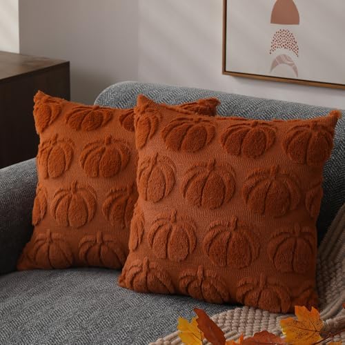 DFXSZ Fall Pillow Covers 20x20 2Pcs Rust Pumpkin Fall Decorations for Home by DFXSZ