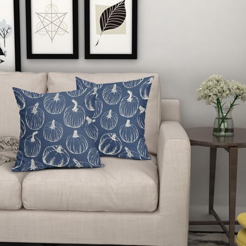 Blue Fall Pumpkin Pillow Covers 22x22 Set of 2 Autumn Themed Thanksgiving Cream Print Decorative Throw Pillows Outdoor Pillowcase Farmhouse Linen Cushion Case Decor for Home Sofa Couch Bed - Image 7