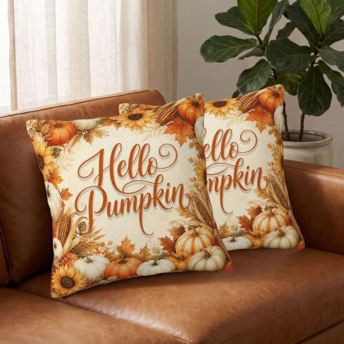 Fall Harvest Throw Pillow Covers 20x20 Set of 2, Rustic Cushion Covers - Image 3