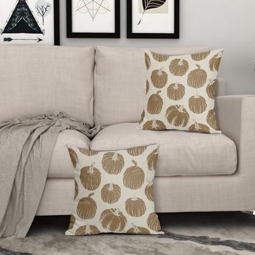 Brown Pumpkin Fall Pillow Covers 22x22 Set of 2 Autumn Harvest Print Thanksgiving Decorative Throw Pillows Outdoor Farmhouse Cushion Case Seasonal Decor for Couch Sofa Bed - Image 3